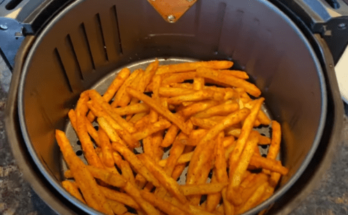 How to cook checkers fries in air fryers, step by steo guide, Ingredient, instructions, Frequently asked questions related to checkers fries in air fryer,